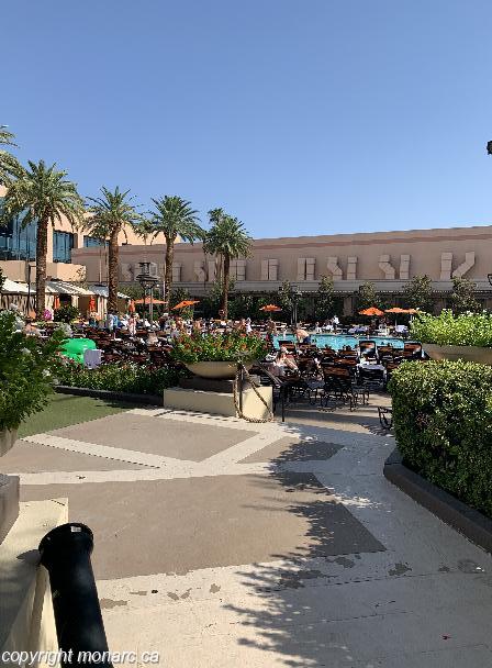 Eye of Horus Cheats PC Spielsaal lucky scarabs $ 1 Pfand Luck Einschreiben Tipps and Tricks Техподдержка Рикор