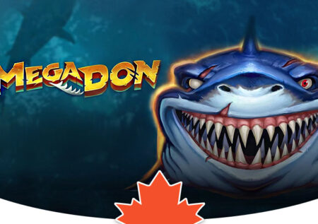 Better Bitcoin Gambling establishment Bonuses & Crypto Campaigns play pokies on line 2025