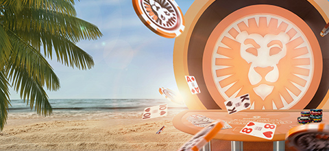 Hoedanig Vinnig Ik 88 Fortunes In Werkelijk Poen ABV