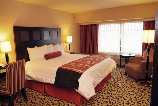 Best Free Slots & love bugs free spins Gambling games December 2025