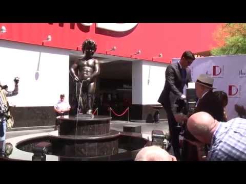 40 Provision, 100 Cash-Spins ninja magic Slot Free Spins Slots, Ausschüttung, Erfahrungen