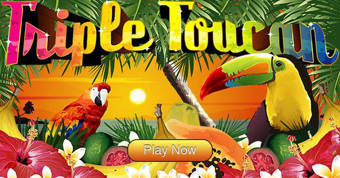 Trendy mr bet casino apk Fresh fruit