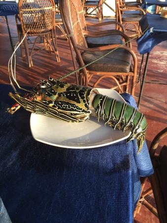 Best On line deposit 5£ get 80 free casino Pokies Websites and Video game to have Australian Professionals inside 2024 Online casino