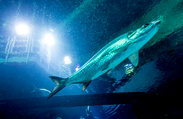 أكبر كازينوهات الحد الأدنى في أمريكا لشهر يناير 2026